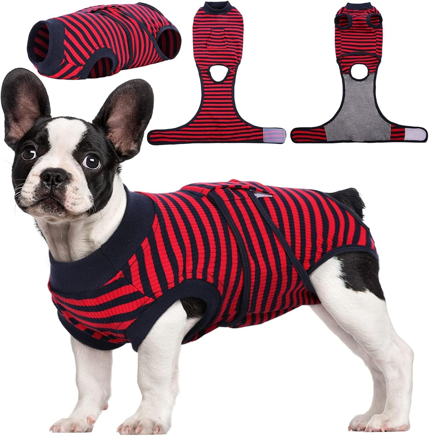 Breathable cat recovery suit, alternative cone for wound protection. Stress-free post-surgery healing.