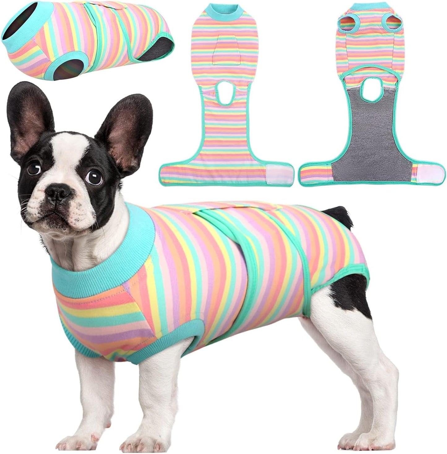 Dog recovery apparel: full body suit for surgical wound protection & comfort during healing.