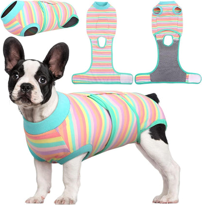Dog recovery apparel: full body suit for surgical wound protection & comfort during healing.