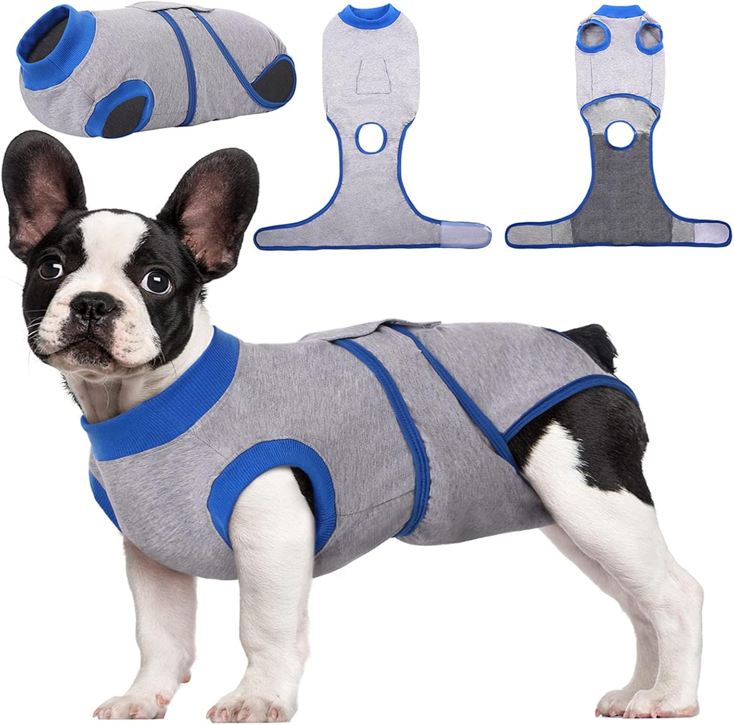 Comfortable dog recovery suit, a gentle alternative to the cone for post-op wound care.
