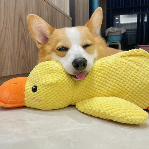 Calming plush duck toy for dogs, providing anxiety relief and boredom reduction. A soft, interactive pet toy.