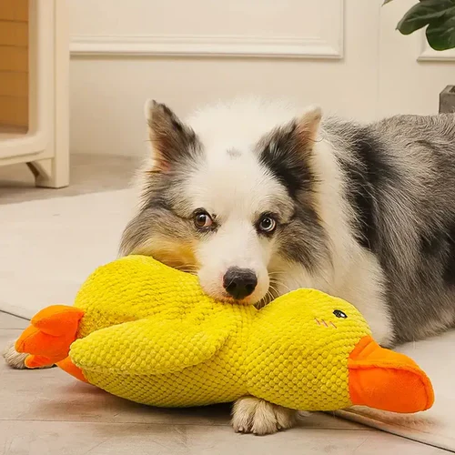 Durable plush duck chew toy for dogs. Helps reduce anxiety and boredom, promoting calm and fun playtime.