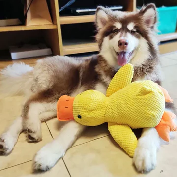 Premium plush duck dog toy designed for anxiety relief and mental stimulation. A soft, durable pet accessory.