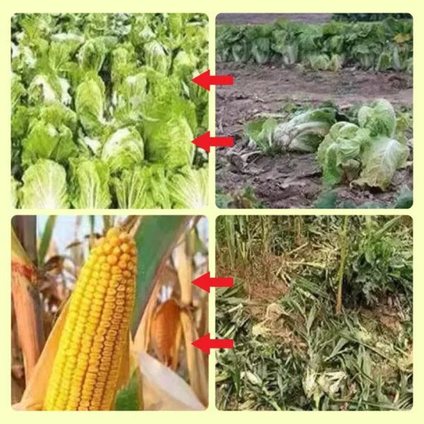 Weather-resistant solar pest control device. Protects gardens & farms with loud alarm & flashing light.