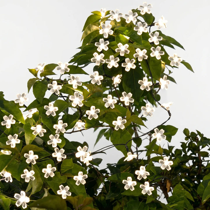 Waterproof solar LED flower string lights, ideal for patio lighting & garden party decorations.