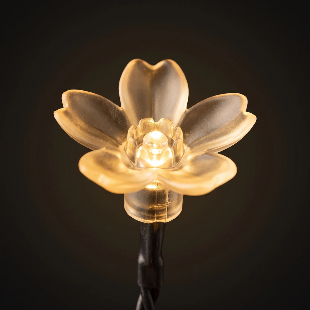 Decorative outdoor solar LED flower lights, creating a warm glow for your garden & backyard.
