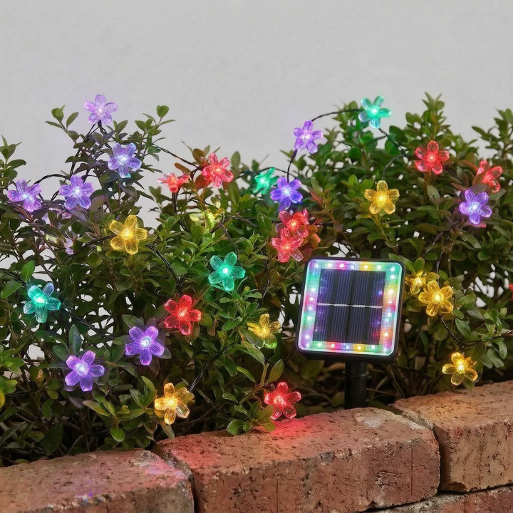 Outdoor solar flower LED string lights, waterproof & decorative for garden, patio, or balcony.