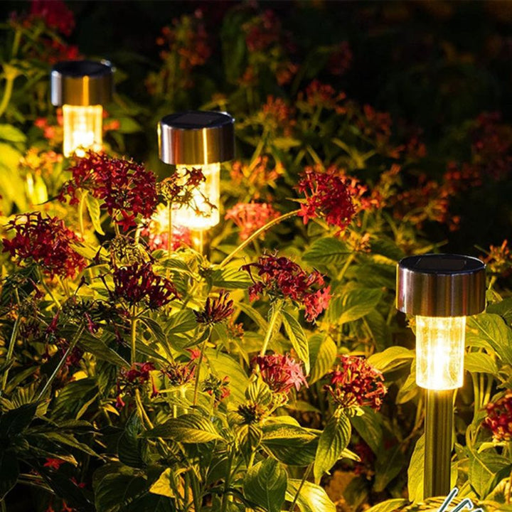 Solar LED path lights with warm glow for garden ambiance. Sustainable outdoor lighting solution.