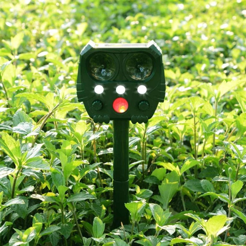 Rodent repellent: outdoor solar ultrasonic device deters squirrels, raccoons, and other pests.