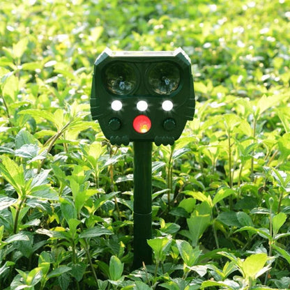 Rodent repellent: outdoor solar ultrasonic device deters squirrels, raccoons, and other pests.