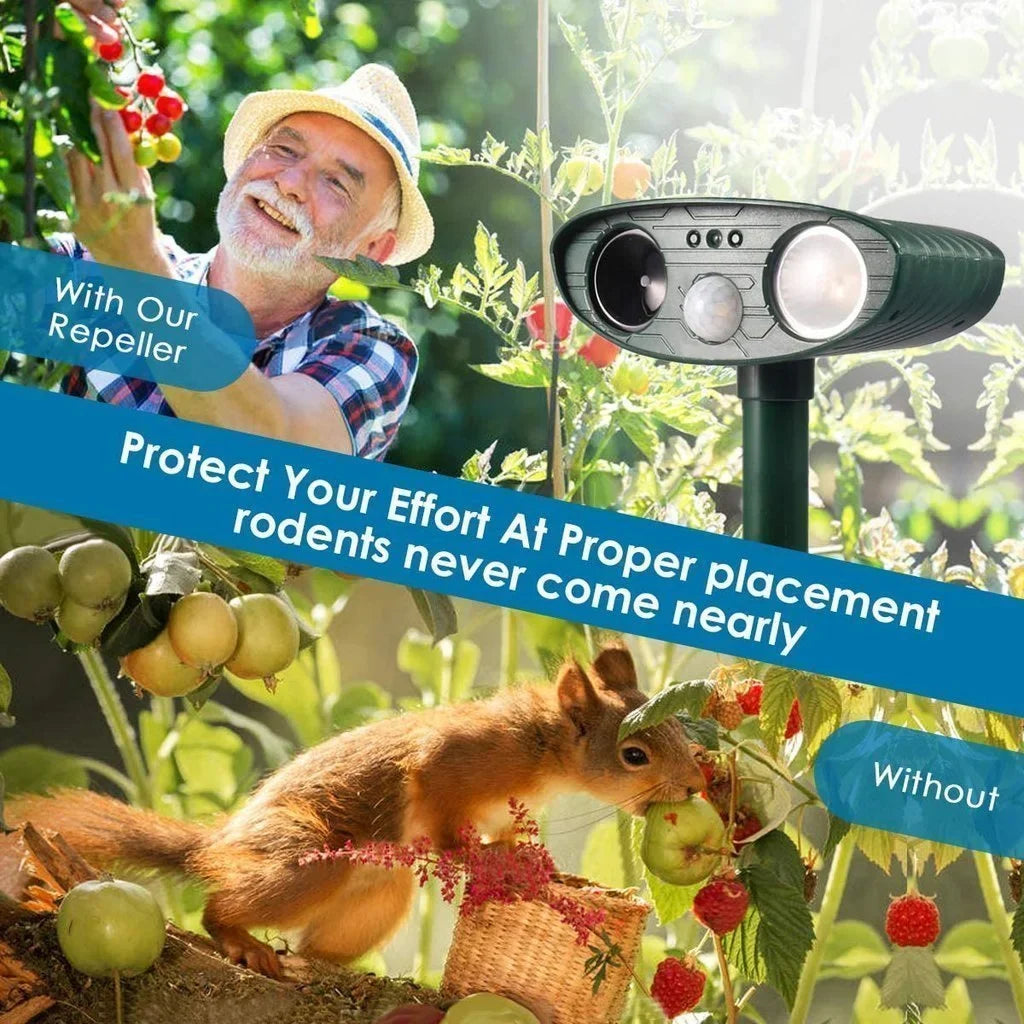 Advanced solar ultrasonic animal deterrent, specifically designed to repel chipmunks from your garden.