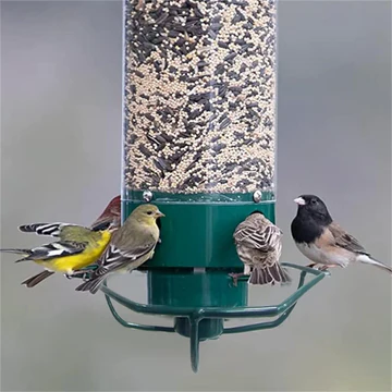 Durable hanging squirrel proof bird feeder, perfect for attracting wild birds to your outdoor space.