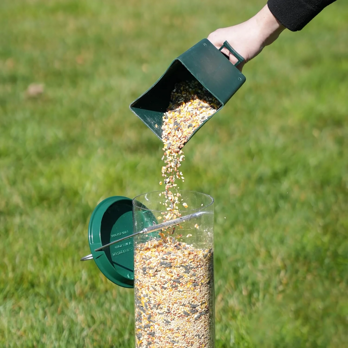 Close-up of a squirrel proof wild bird feeder, showing its protective cage design for bird seed.