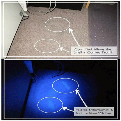 Super bright 395nm UV blacklight LED portable light, essential for hotels and pest control