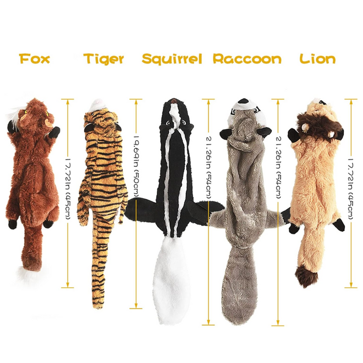 Eco-friendly squeak dog toys, a durable 5-pack for puppy and adult dog enrichment. Sustainable chew pet supplies.