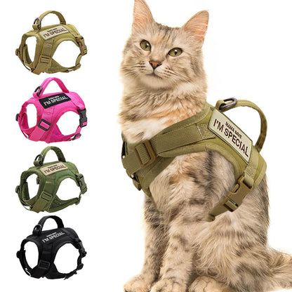 Tactical cat harness vest in black, secure and padded for pet adventure, with adjustable straps.