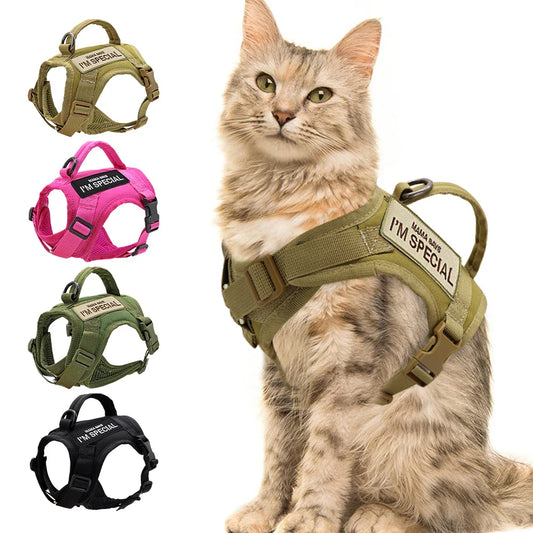 Tactical cat harness vest in black, secure and padded for pet adventure, with adjustable straps.