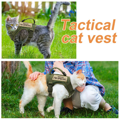 Cat tactical vest, secure and comfortable, showing sturdy construction and adjustable fit.