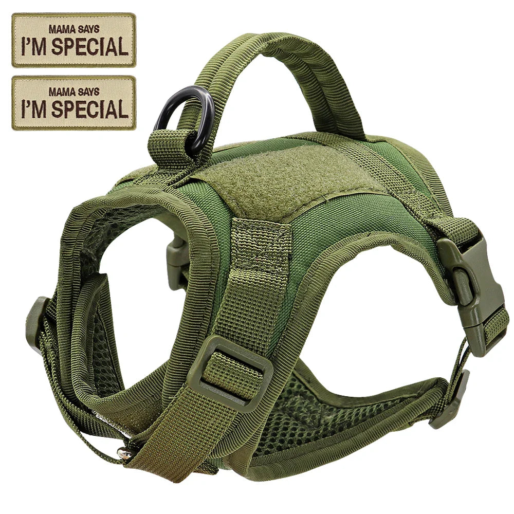 Secure cat harness vest, padded tactical design for adventure and comfortable outdoor use.