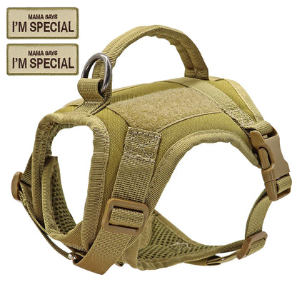 Adventure cat tactical harness vest, military-grade nylon with D-ring, comfortable pet gear