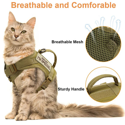 Close-up of D-ring leash clip on tactical cat harness vest, secure and comfortable fit
