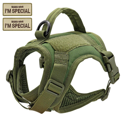 Comfortable nylon tactical cat harness vest, adjustable straps, D-ring for leash attachment