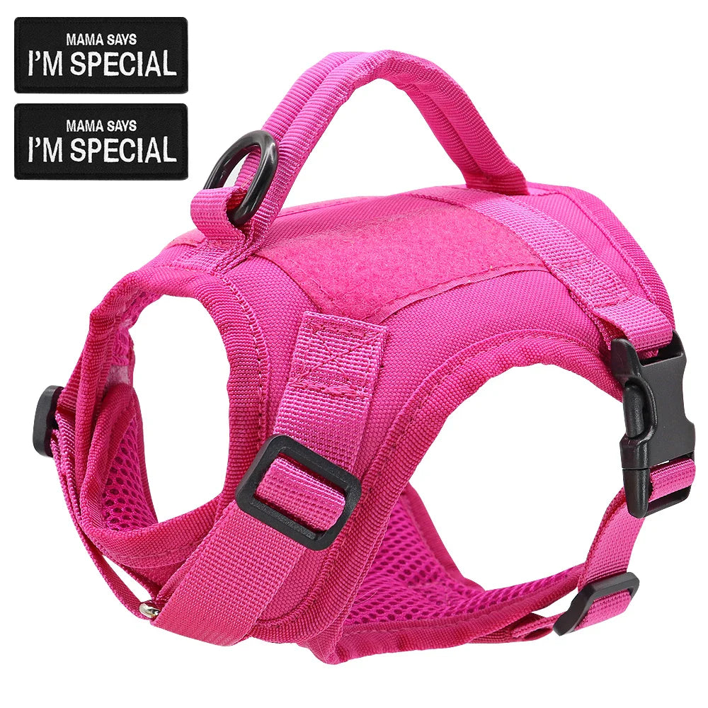 Small dog harness, also a tactical vest, with D-ring leash clip, durable for adventures