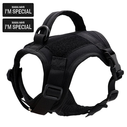 Tactical cat harness vest, side view showing strong nylon construction and D-ring