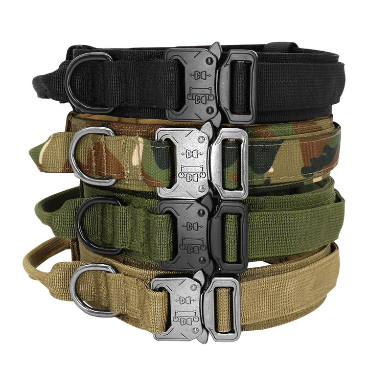 Heavy duty military dog training gear set: padded collar and elastic leash with strong handle