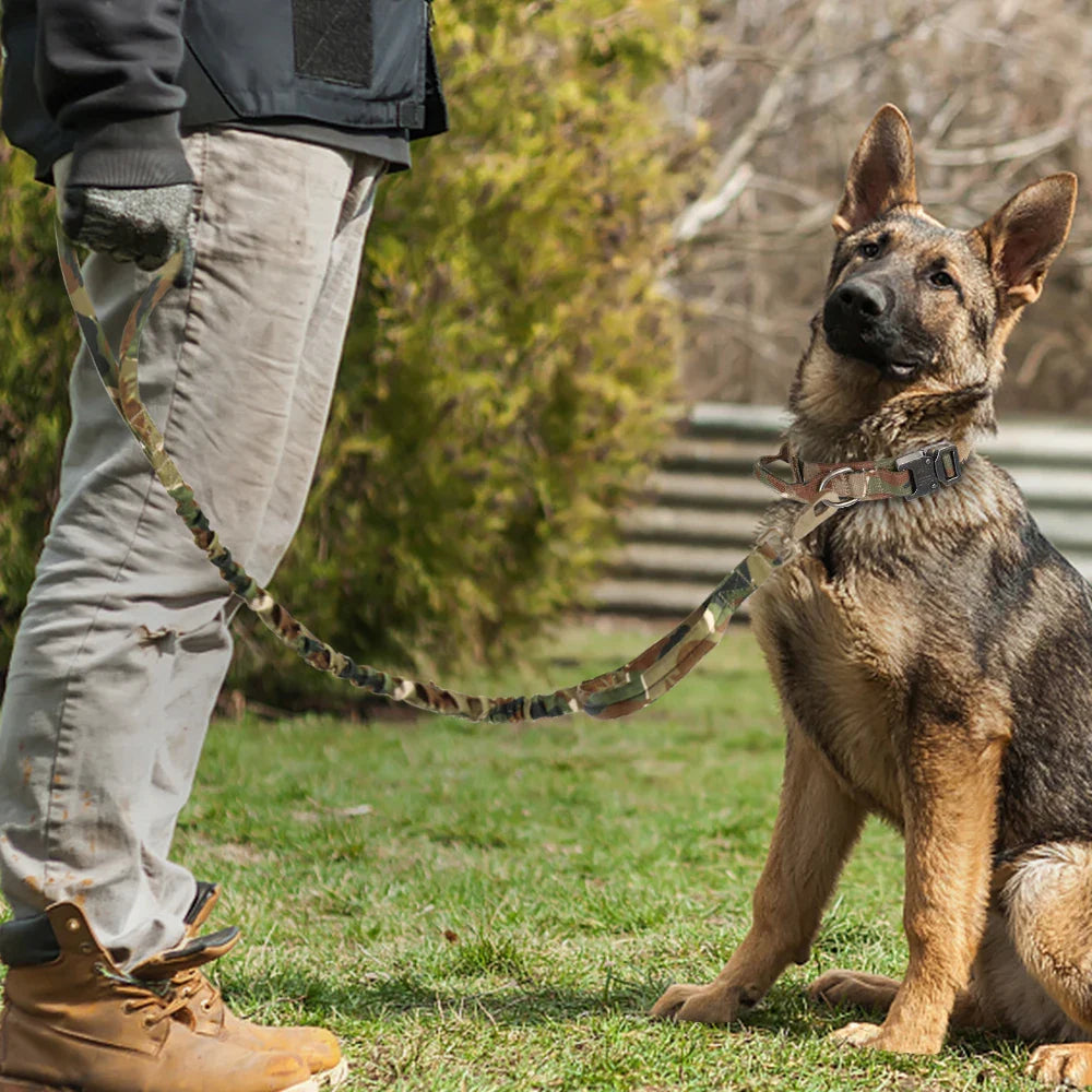 Closeup of tactical dog collar with metal D-ring and control handle, part of training set
