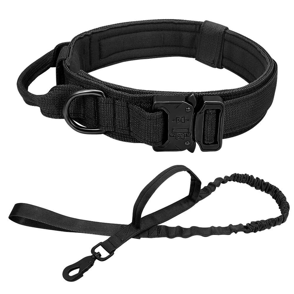 Heavy duty dog leash and collar set, perfect for daily walks and professional dog training