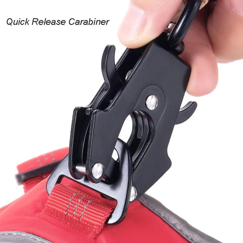 Heavy-duty dog leash with reflective stitching and dual handles for control