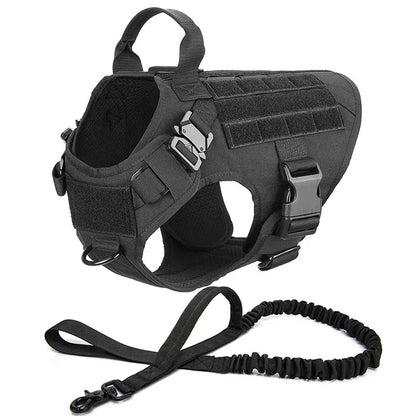 Tactical no-pull harness shown on a dog walking calmly by owner