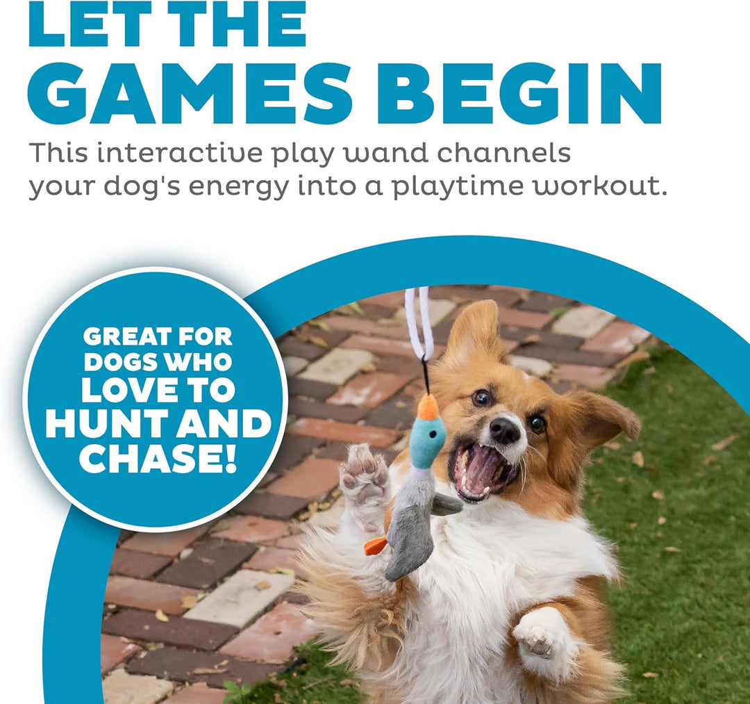 Durable Tail Teaser dog toy, perfect for active canine fun, interactive games & exercise.