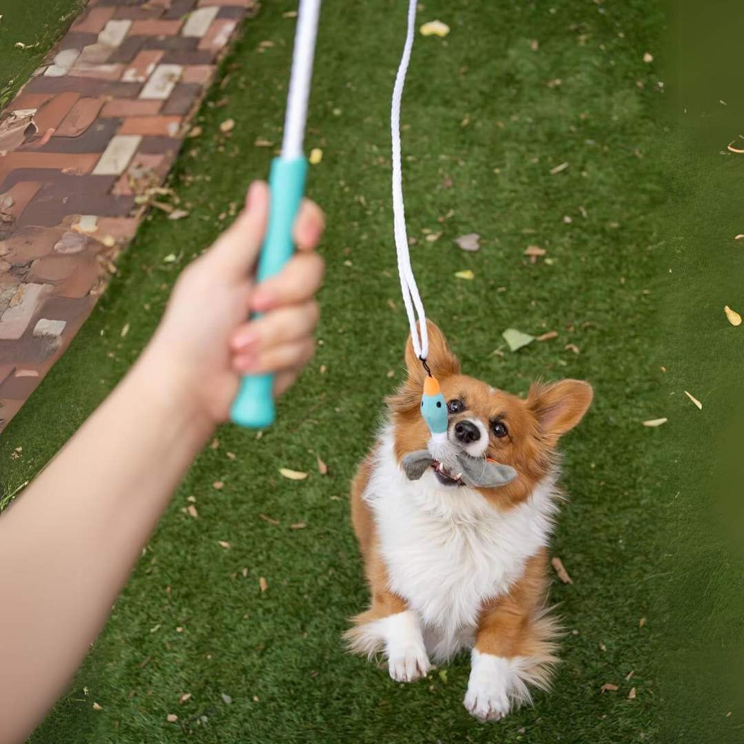 Interactive Tail Teaser dog play stick, great for engaging pet play & dog exercise sessions.
