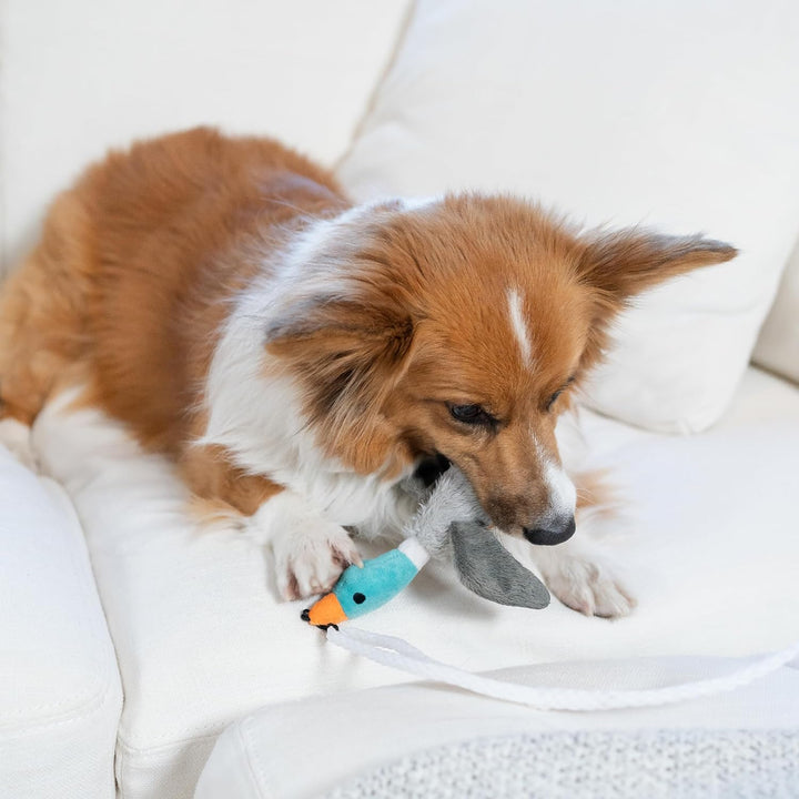 Squeaky Tail Teaser dog toy for engaging pet play, exercise, and active canine fun.
