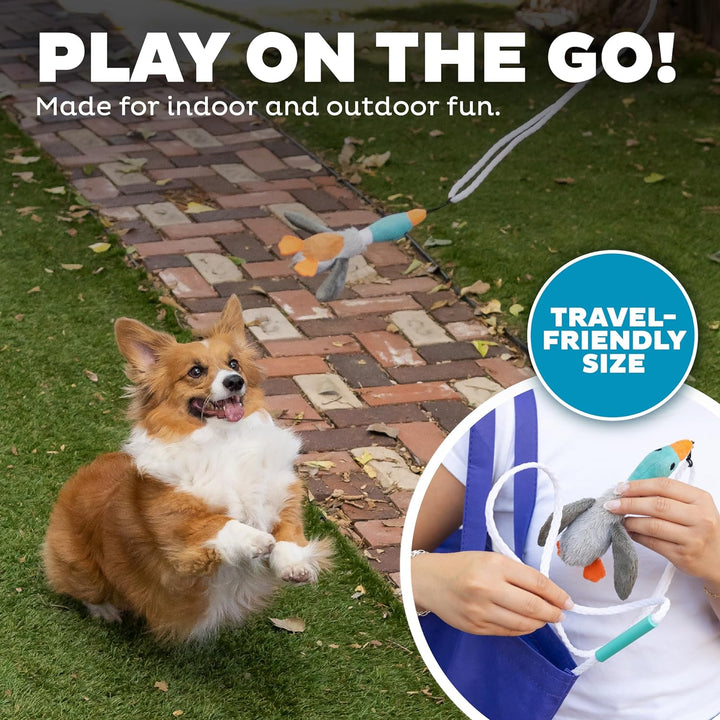 Happy dog playing with a Tail Teaser stick, promoting exercise & interactive canine fun.