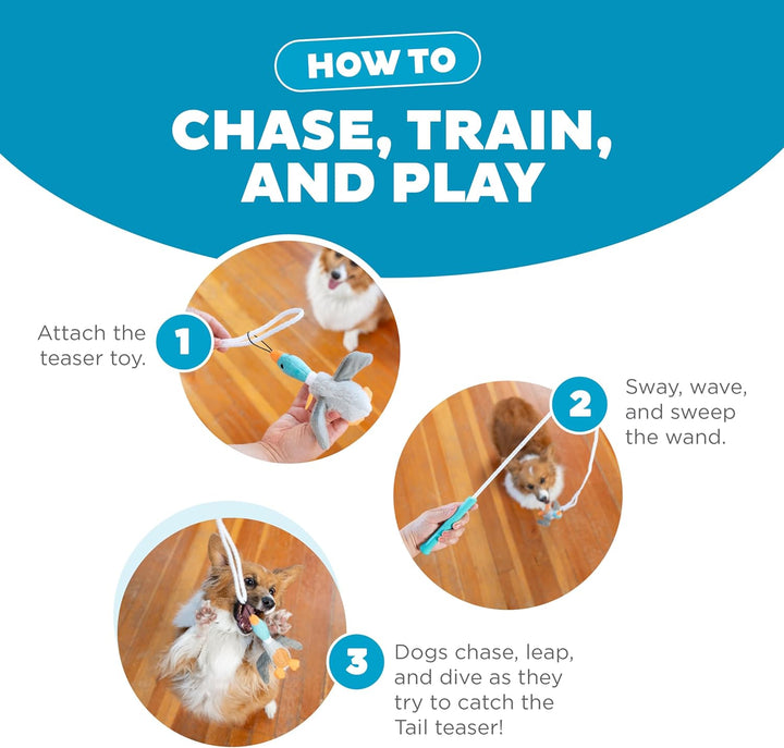 Fun Tail Teaser dog toy designed for exercise, mental stimulation, and interactive pet play.