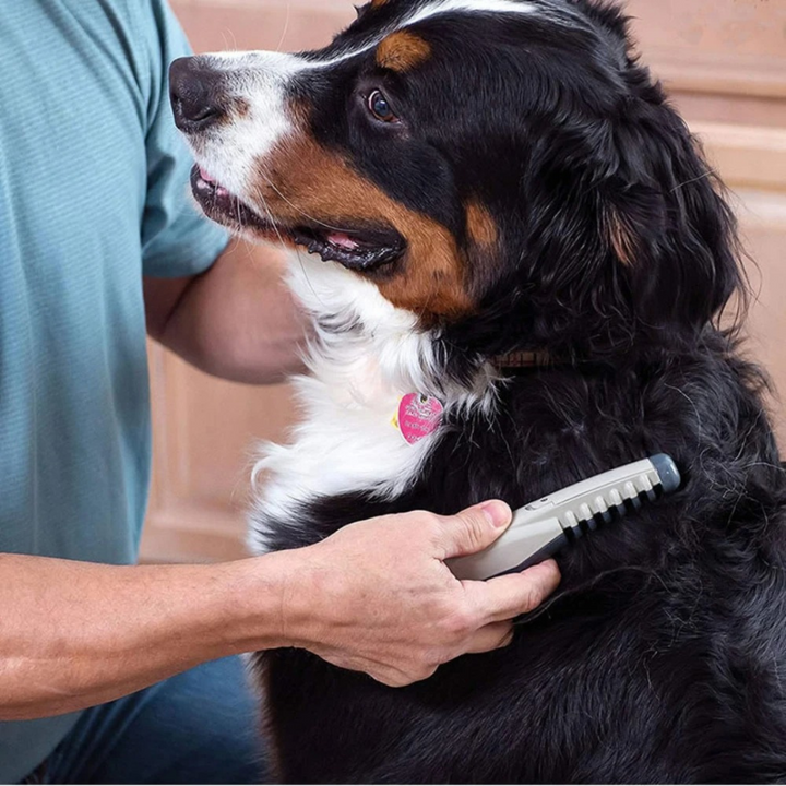 Gentle detangler brush for cats & dogs. Removes tangles & loose fur, reducing shedding for healthier coats.