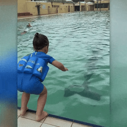 Blue kids' floatation vest with built-in shorts for learn to swim.