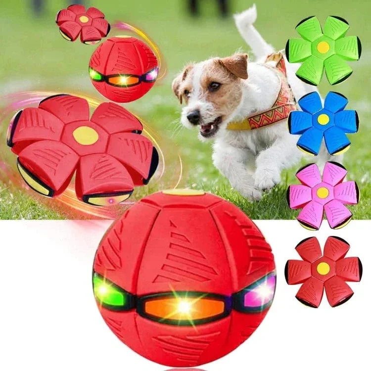 Transforming flying saucer dog toy, flattens to a disc & pops into a ball for fetch. Durable interactive pet toy.