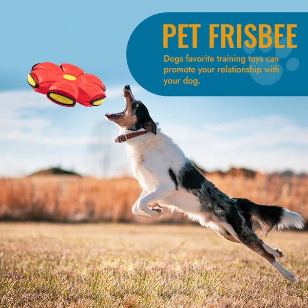 Versatile pet toy: Flying saucer transforms into a durable dog ball, perfect for outdoor interactive fetch.