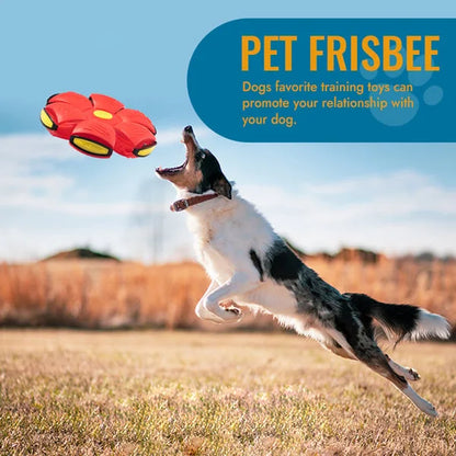 Versatile pet toy: Flying saucer transforms into a durable dog ball, perfect for outdoor interactive fetch.