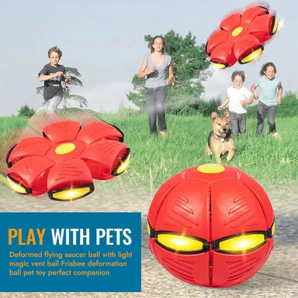 Exciting flying disc and ball dog toy, transforming for fetch & outdoor fun. A durable interactive pet supply.