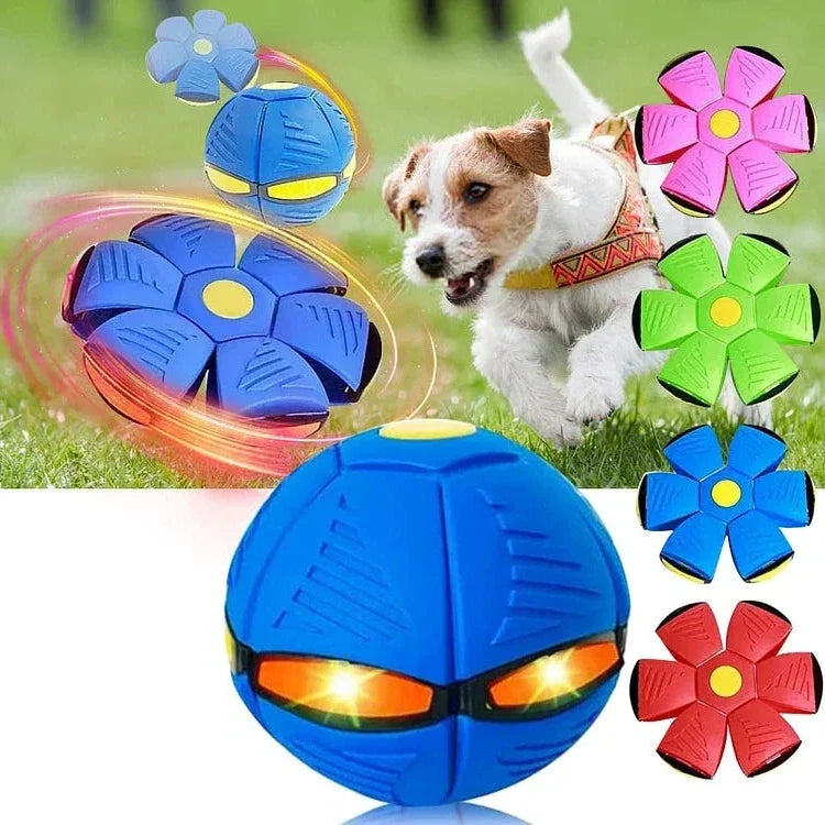 Light-up flying saucer ball dog toy, perfect for outdoor fetch games. Durable & interactive fun for pets.