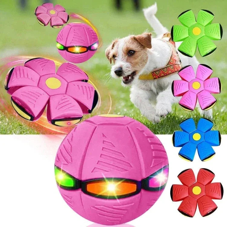 Durable flying saucer ball dog toy for active outdoor play. Transforms for fetch, an interactive pet supply.