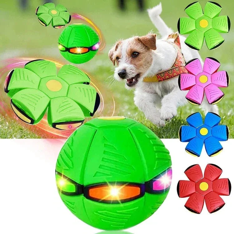 Interactive flying disc dog toy that converts to a ball, great for outdoor fetch & play with your pet.