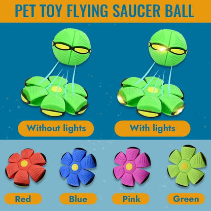 Unique flying saucer dog toy transforming from flat disc to round ball. Ideal for active dogs' outdoor fun.
