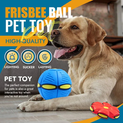 2-in-1 flying disc and dog ball toy, an interactive pet toy designed for outdoor fetch and durable play.