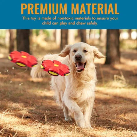 Durable dog ball toy that flattens into a flying disc. An interactive pet supply for outdoor fetch fun.